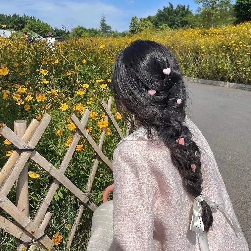 神探飞机头